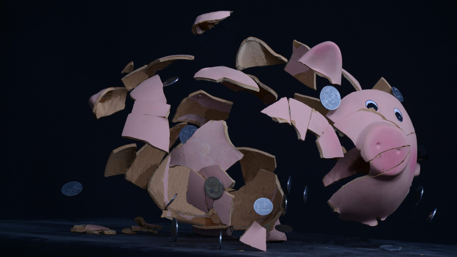 pexels-dovis-24566348-6719878