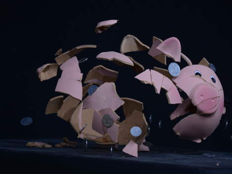 pexels-dovis-24566348-6719878