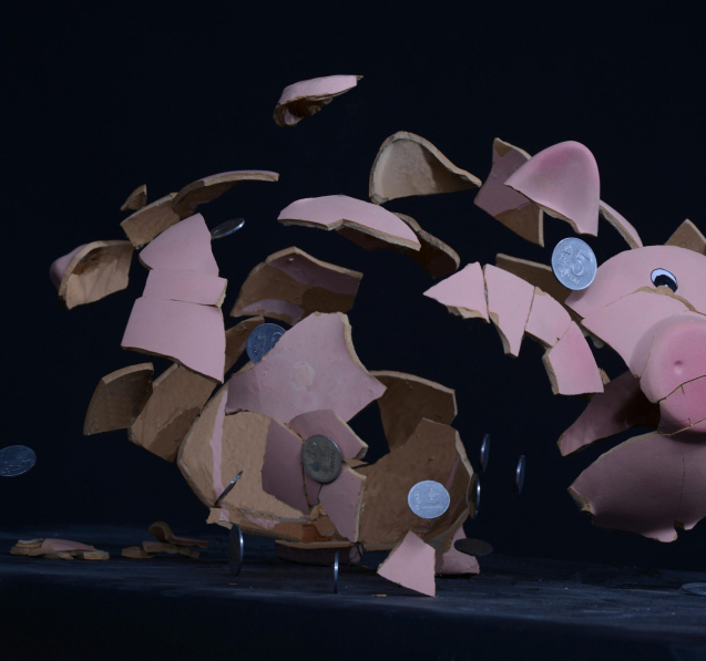 pexels-dovis-24566348-6719878